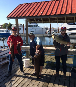 Fishing In Vancouver Aftermath 